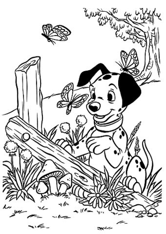 Dalmatian Lucky Plays With Butterfly  Coloring Page